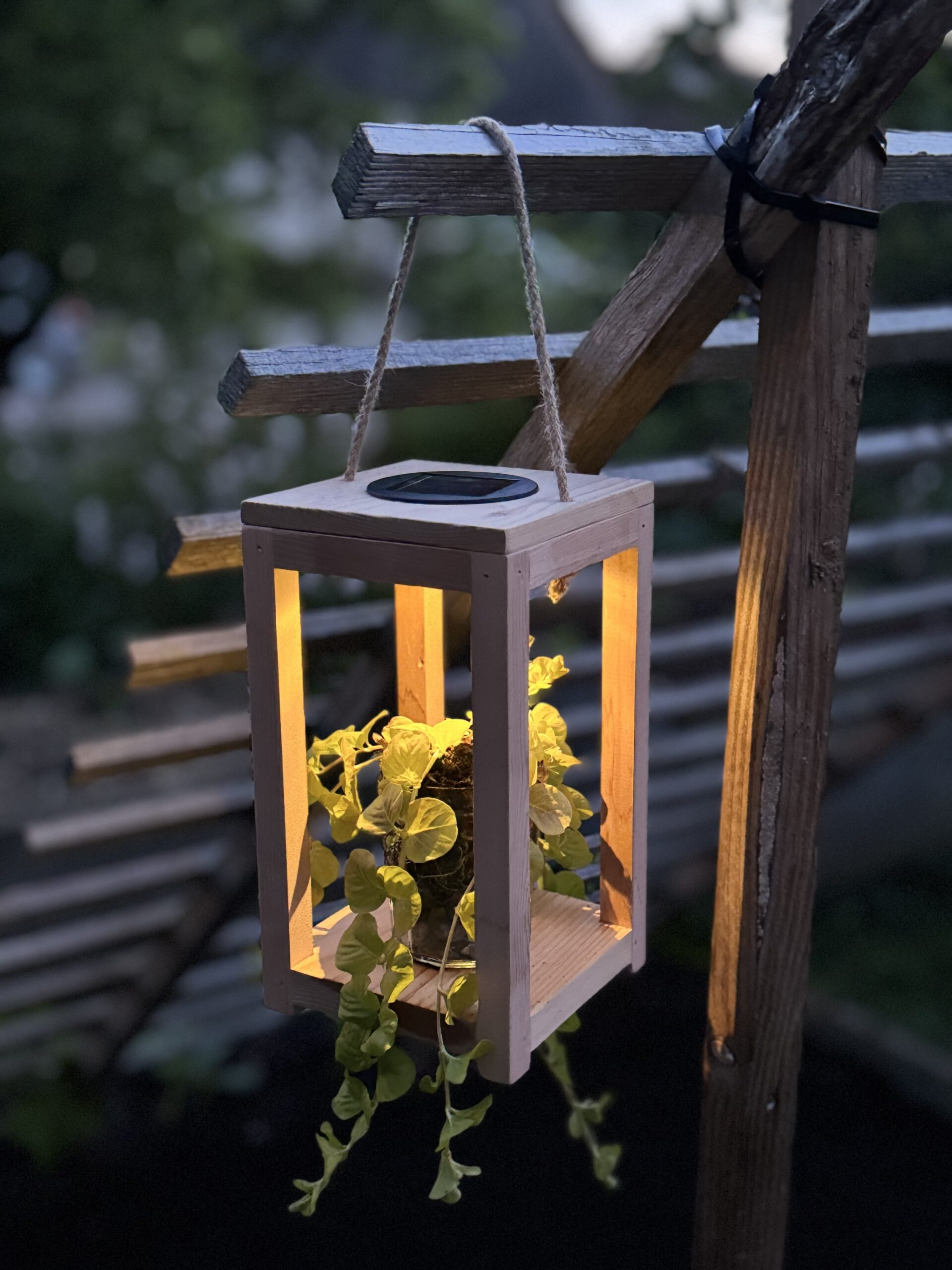 IMG_0492 Lanterne "Lueur de Cèdre" lampe solaire – Image 1